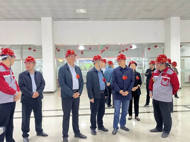 肥城市政協(xié)主席、黨組書記王志勇帶隊(duì)來公司視察安全生產(chǎn)工作